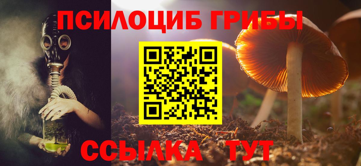 Псилоцибиновые грибы мицелий  Вход с VPN  Петрозаводск  Псилоцибиновые грибы Psilocybe 